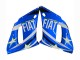 Blanc Bleu Jaune Néon Fiat Motul Michelin Carénage Moto Yamaha YZF 600 R6 1998-2002