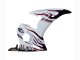 Blanc Dark Noir Flamme Carénage Moto Yamaha YZF R6S 2006-2009