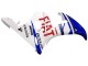 Blanc Bleu Dunlop Fiat Motul Carénage Moto Yamaha YZF 600 R6 2005
