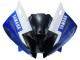 Blanc Bleu Rouge Fiat Motul Michelin Carénage Moto Yamaha YZF 600 R6 2006-2007