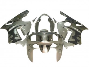 Argent Noir Carénage Moto Kawasaki ZX12R 2002-2006 Pas Chère