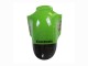 Vert Noir Brillant Elf Touch4 Monstre Carénages Moto Kawasaki ZX12R 2002-2006