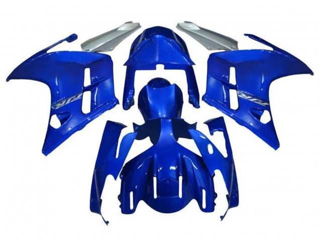 Bleu Argent Carénage Moto Yamaha FJR1300 2001-2006