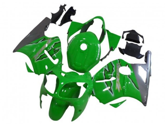Vert Argent Carénage Moto Kawasaki ZX12R 2002-2006