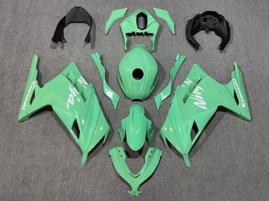 Vert Clair Blanc Carénage Moto Kawasaki EX300 2013-2024 Pas Chère