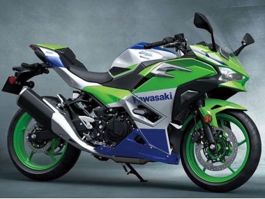 Argent Vert Bleu Carénage Moto Kawasaki Ninja 500 EX500R 2024-2025 Pas Chère