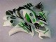 Vert Blanc Carrosserie Moto Honda CBR 1000 RR 08-11 Vert Blanc Carrosserie Moto Honda CBR 1000 RR 08-11